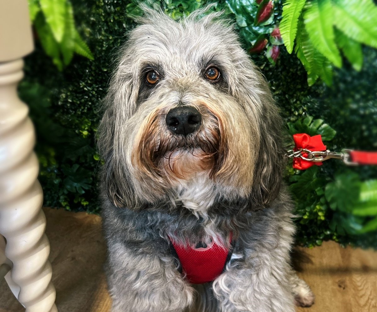 Twenty Pence Garden Centre tweet media