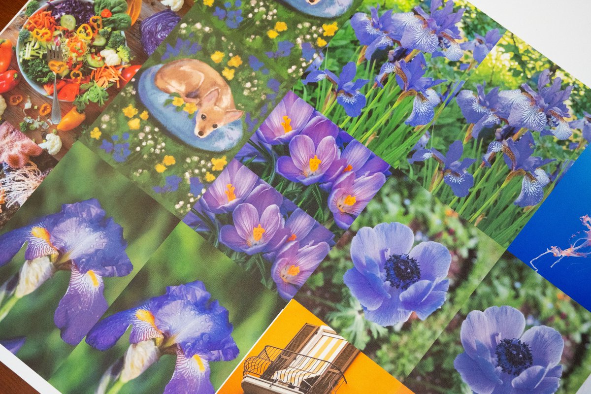 birdinpage's tweet photo. 파란색은 원래 인쇄가 안된다구요? 형광 별색 가이드 <네온 라이크>에 이어 새로운 인쇄 가이드 <모어 블루> 텀블벅 펀딩으로 찾아왔습니다.  파랑 뿐만 아니라 민트, 초록, 보라 다 잘나오는 인쇄법을 소개합니다.  저렴하게 소량 인디고로도 인쇄 가능하답니다. https://t.co/AzvvFRue98 https://t.co/XIUN0egaiB