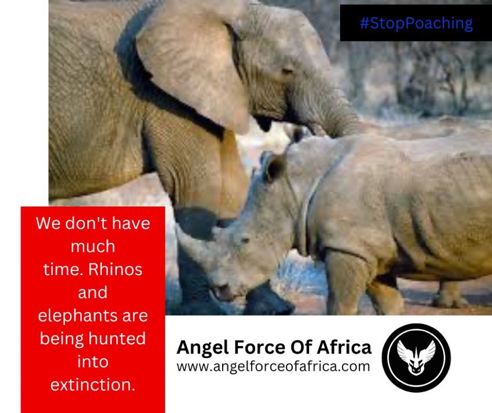 Protecting wildlife and the global environment is essential, and to avoid the extinction of elephant, rhino and other species we must act now. 

We believe animals can't be exploited and threatened, they must be protected. angelforceofafrica.com