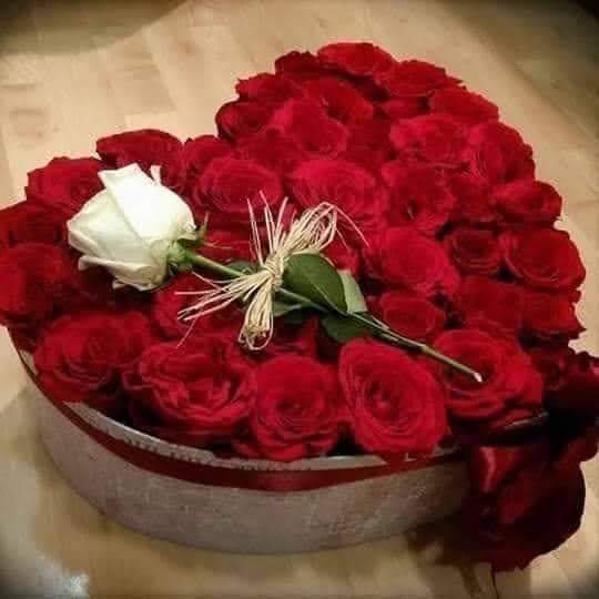 cetin202268's tweet photo. @einfach_dani1 https://t.co/Wt0gk2rldL