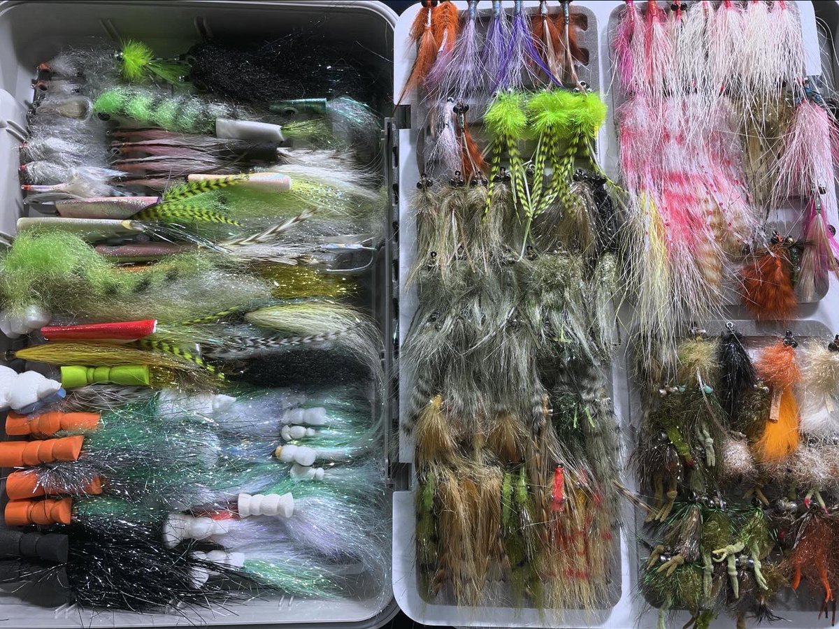 rodandreel_yama's tweet photo. いっぱいいっぱい。
#boatbox
#candfdesign
#これが私のフライタイイング https://t.co/BF9TBGfznU