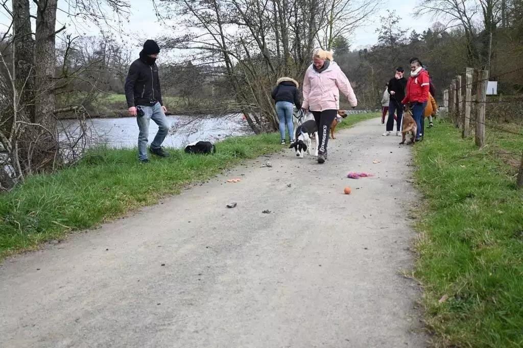 Hier j'ai pris une 'voie verte' à vélo. Ça a renforcé mon opinion : les collectivités qui en font un élément important de leur politique cyclable sont des cyclistes du dimanche. Explications 🔽