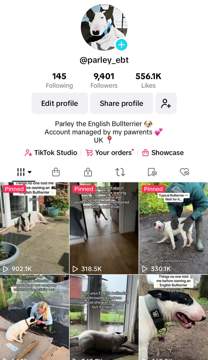 Parley has been the star of the show recently, racking up a number of collabs and her TikTok is nearly at 10k followers ✨🫶🏻🐶
 #UGCUK #petugc #ugccreator