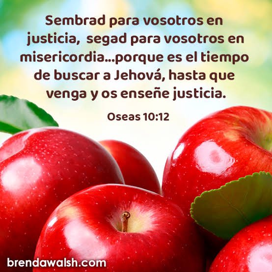 Ose.10 Preparemos el terreno de nuestro corazón para que la semilla de la Palabra de Dios pueda dar frutos de justicia y amor. Aún es “tiempo de barbecho”, tiempo de permitir al Espíritu Santo que haga en nuestras vidas aquello que por nosotros mismos nunca hemos hecho #rpsp