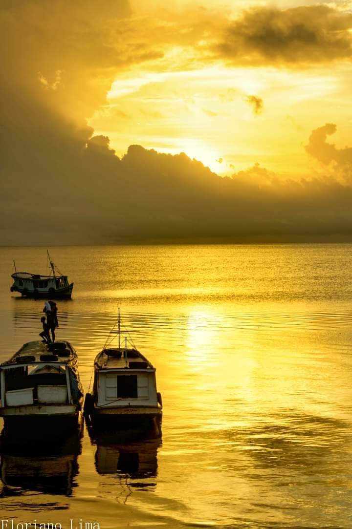 O DIA DE HOJE - Macapá-AP