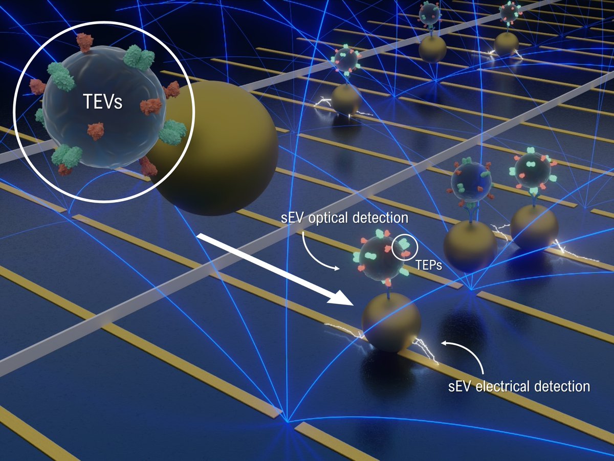 🌟 NEW PAPER ALERT: Breakthrough liquid biopsy publication in <a href="/CellCellPress/">Cell</a>🌟

Excited to share that our liquid biopsy tech is featured in iScience! 🎉 Our paper, "An electro-optical platform for ultrasensitive detection of small extracellular vesicle sub-types," showcases our