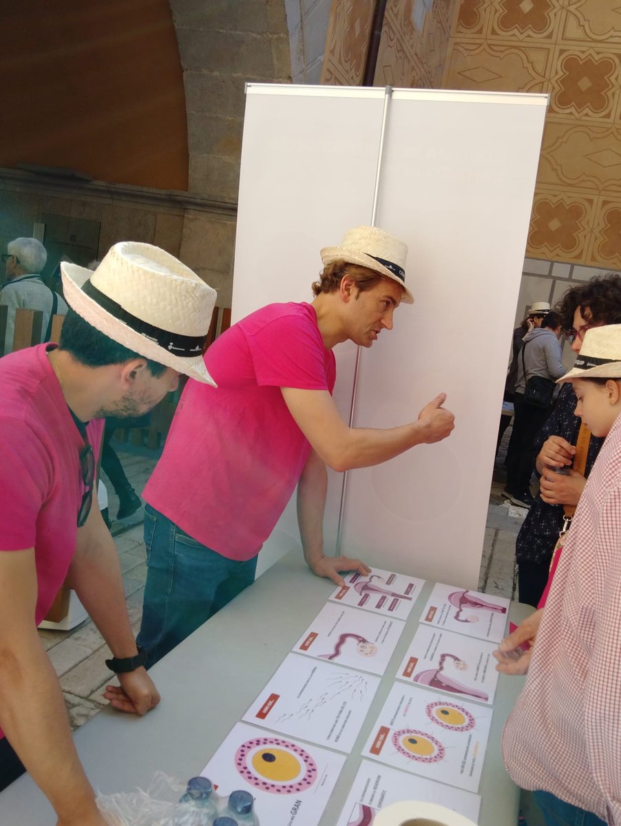 TechnoSperm - UdG tweet media