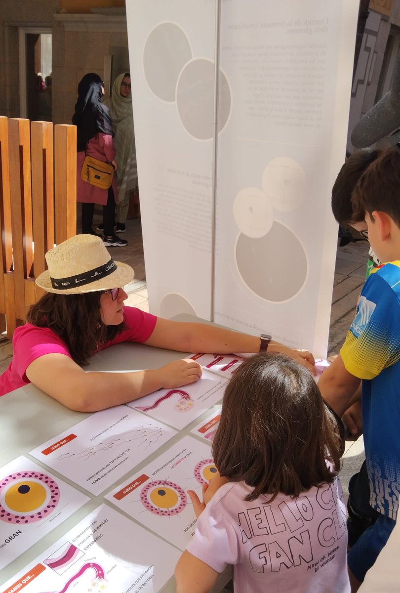 TechnoSperm - UdG tweet media