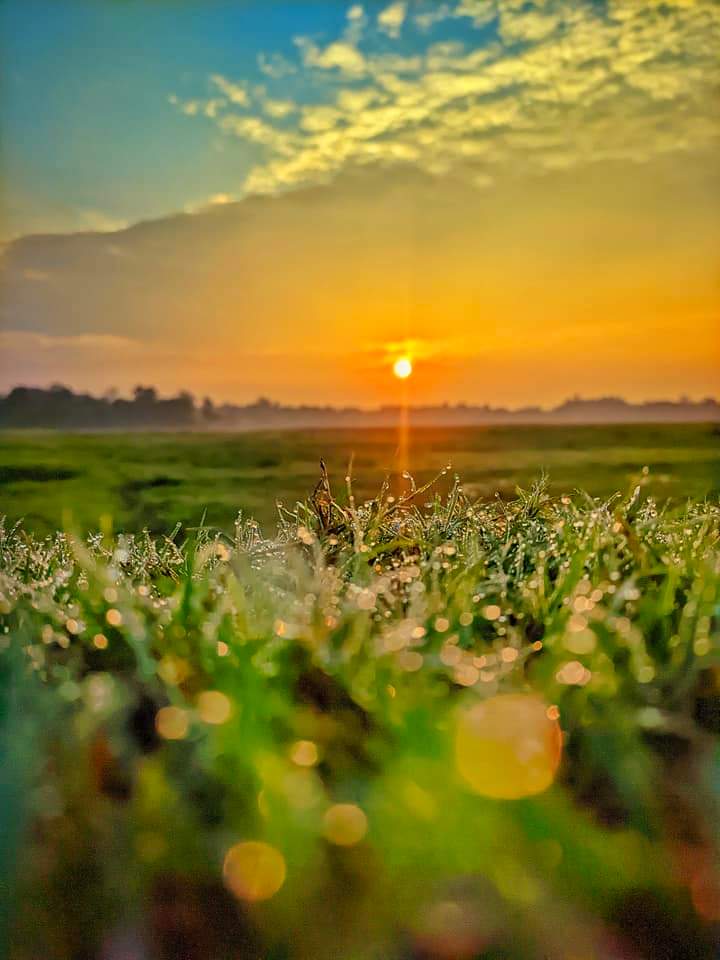 Borna4128's tweet photo. Photography https://t.co/8UIxJfpbu8
