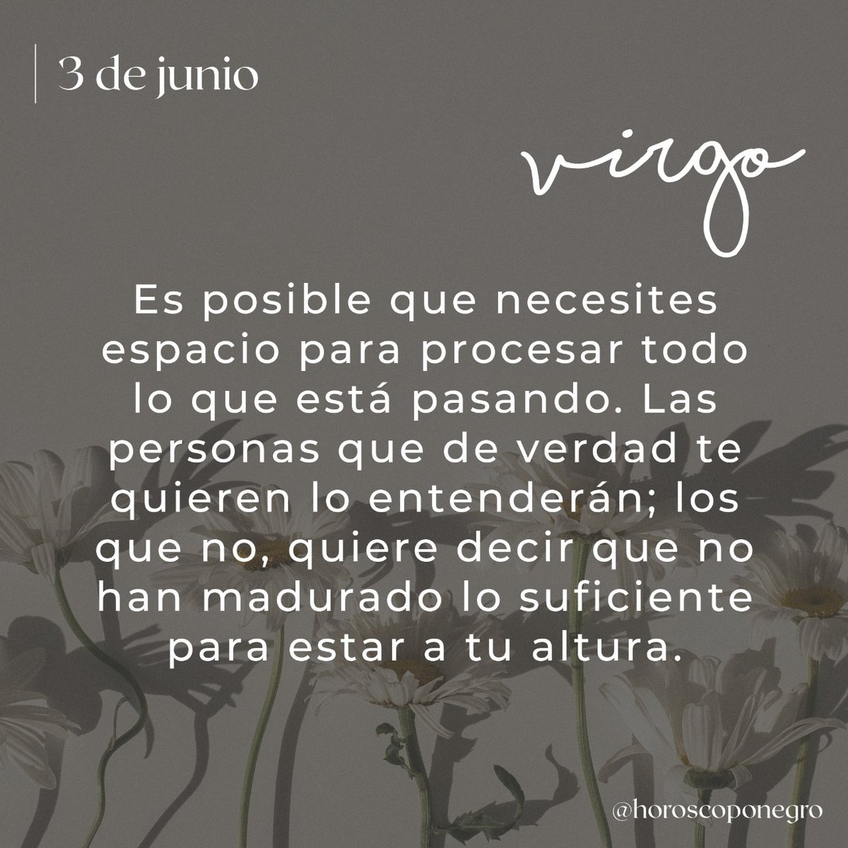 ▲VIRGO▲ tweet media