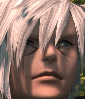 Asherism_'s tweet photo. im crying why did the new FFXIV benchmark make my catboy look crosseyed in this shot https://t.co/s0Cqlr7Hfx