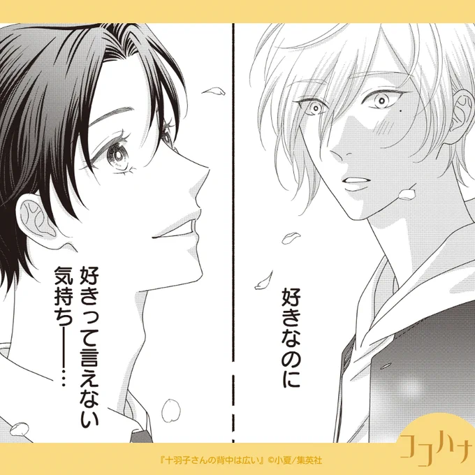 ✨#ココハナ 7月号 発売中✨
※注)十羽子と吏津です

学園もののコスプレのついでに、お花見を楽しむ十羽子と吏津。十羽子のなかに「ある想い」がめばえてきて--

#完全ニャる飼育 の
#小夏 先生が描く、人生が明るく変わるドラマティックストーリー💖
#十羽子さんの背中は広い 【第5話】
 #集英社 