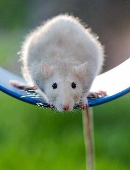 here comes love!! catch!