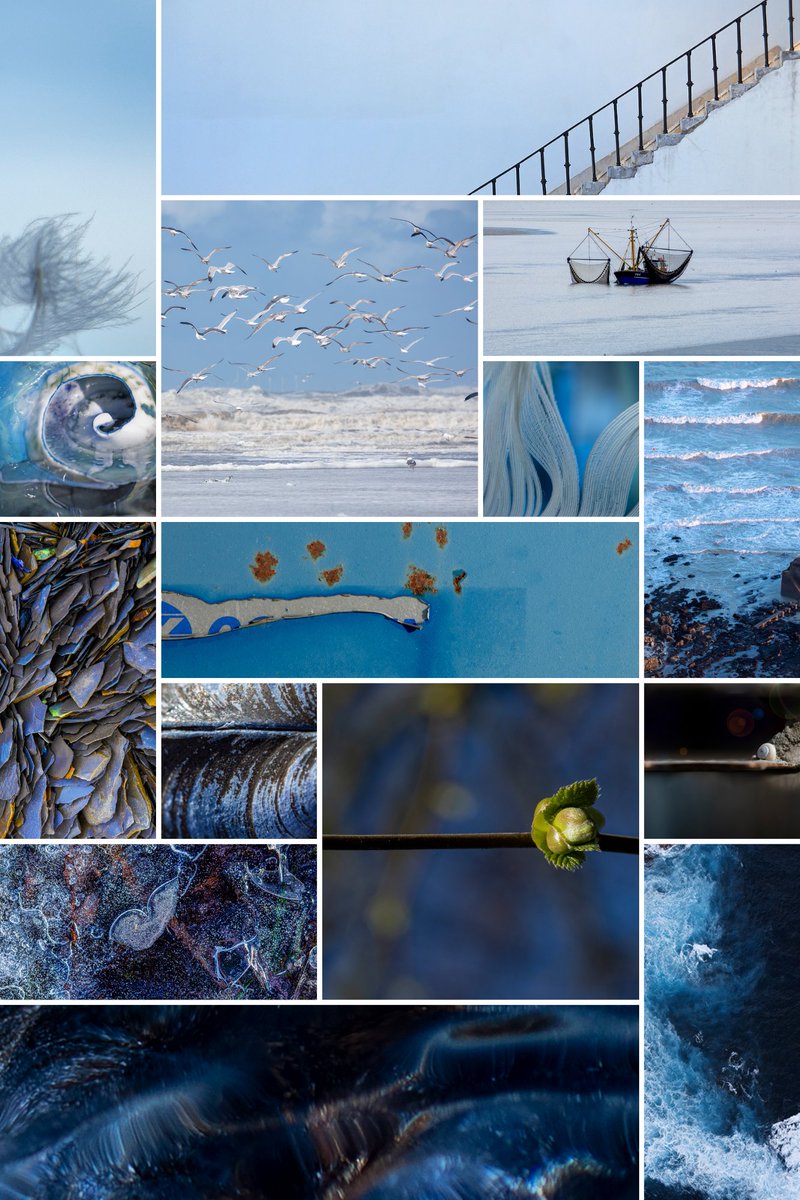 Ik probeer mijn geluk eens met een #collage maken met een #verloop in blauwe tinten. #junieke_fotografie #collageart  #fotochallenge