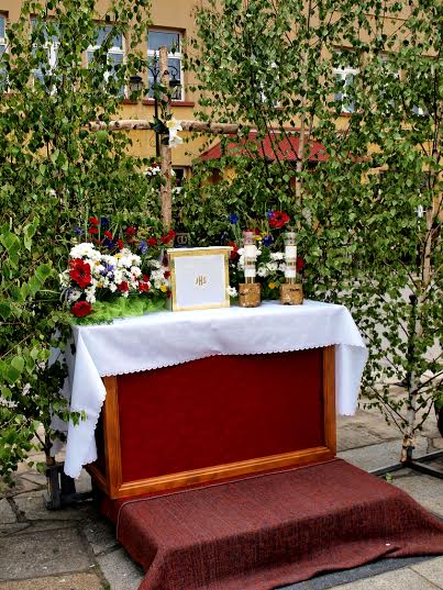 Prof. Piotr Czerniawski (Uniwersytet Szczeciński) - "Na wszystkich stacjach (ołtarzach) wyliczyłem 26 brzózek, o wysokości, średnio około 6 m. Taka wysokość wskazuje na drzewo w wieku 5-6 lat. Ze względu na nierozbudowany system korony, brzozy sadzi się w odległości 2-3 m,