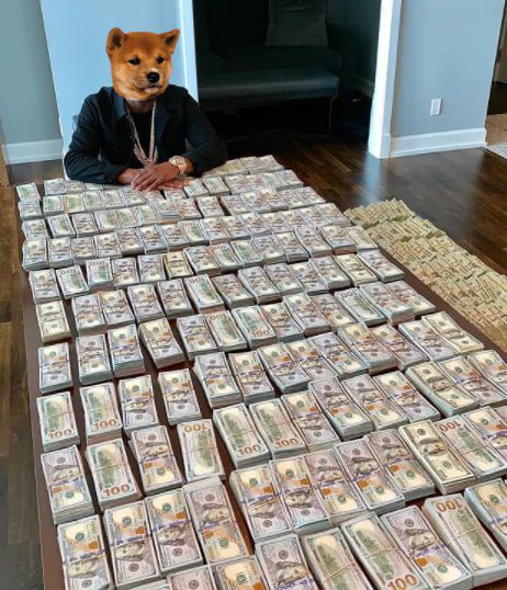 What’s Updog? tweet media