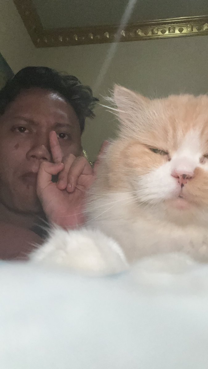 Reinas Braun tweet media