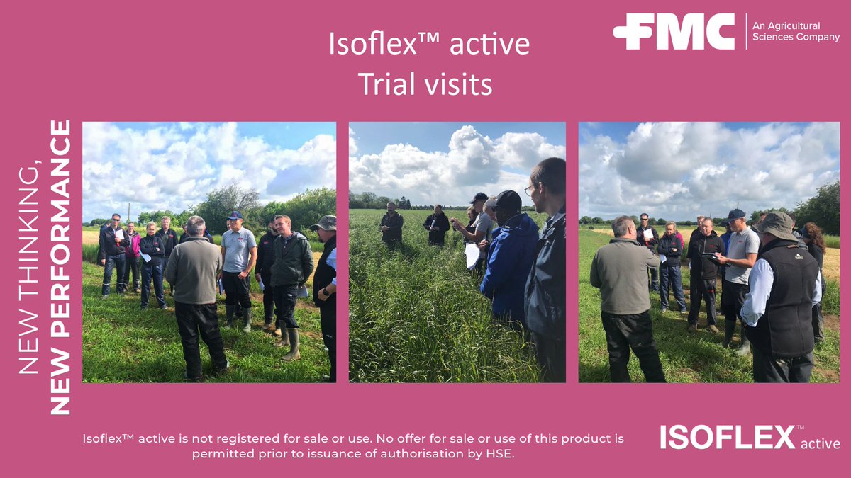 FMCAgroUK's tweet photo. What a busy couple of weeks the FMC team have had 🌱 
It was great to have our European colleagues to visit us here in the UK 🇬🇧 to have a look and discuss our Isoflex™ active trials 

#newthinking #newperformance #grassweeds #broadleavedweeds https://t.co/c61YfEVx1n