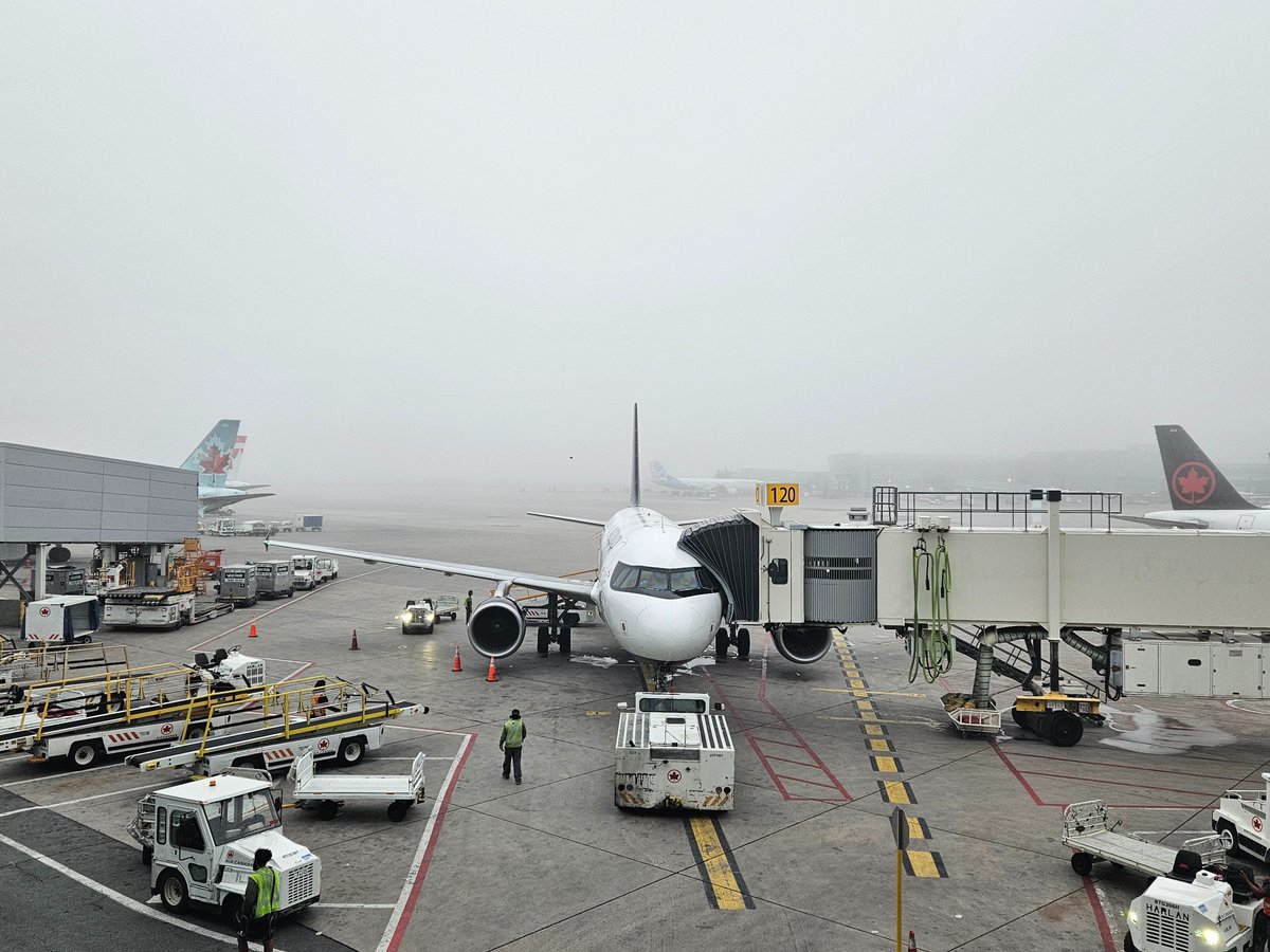 Toronto Pearson tweet media