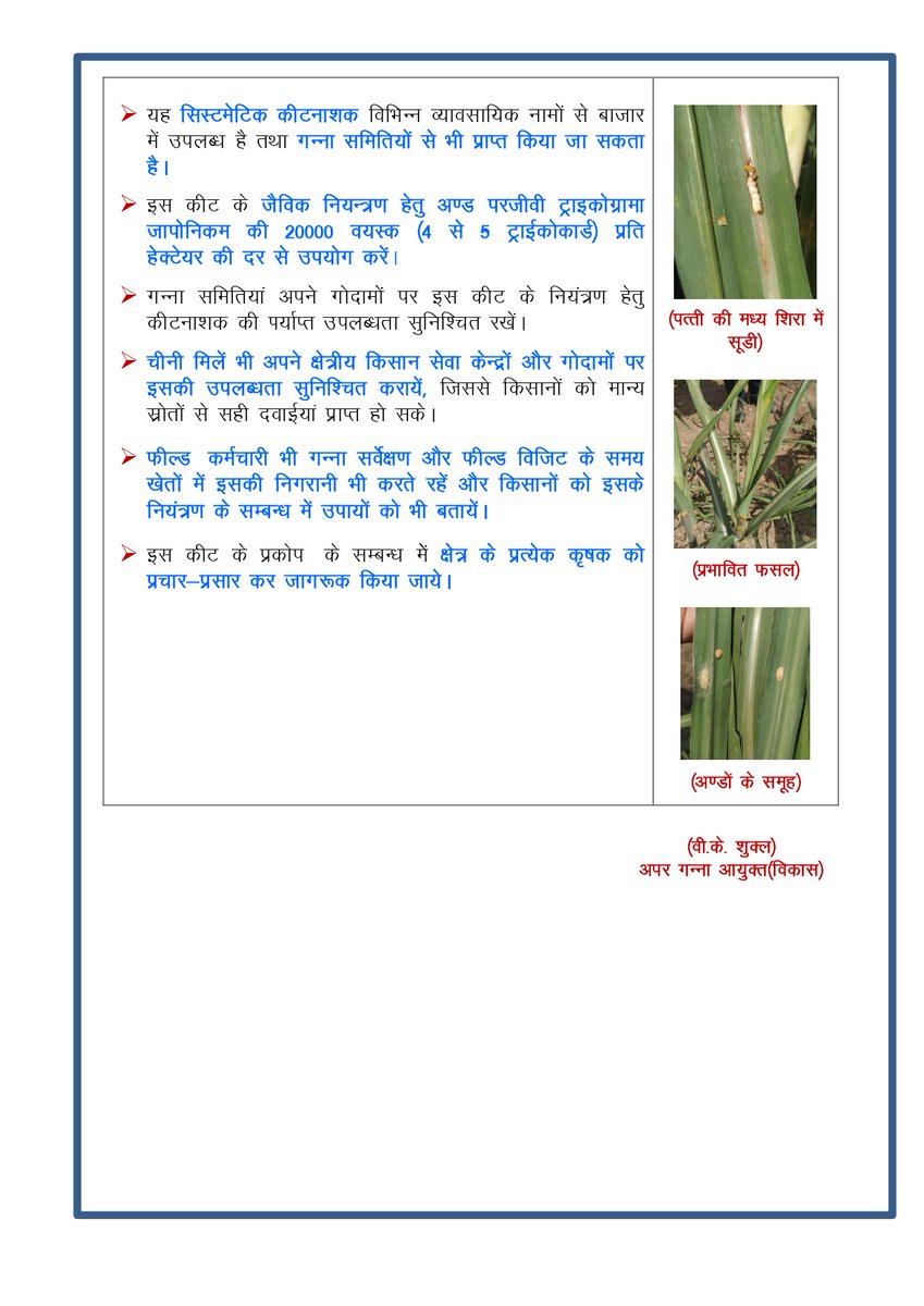 गन्ने की फसल को चोटी बेधक(टॉप बोरर) और अर्ली सूट बोरर से बचाव हेतु उपाय - गन्ना विकास विभाग ने जारी की एडवाईजरी
#टॉपबोरर #pressnote #upcane #gannavibhag #sugarcanecrop 
<a href="/UPCane/">Cane Development UP</a> 
<a href="/UPGovt/">Government of UP</a> <a href="/CMOfficeUP/">CM Office, GoUP</a> <a href="/InfoDeptUP/">Information and Public Relations Department, UP</a>