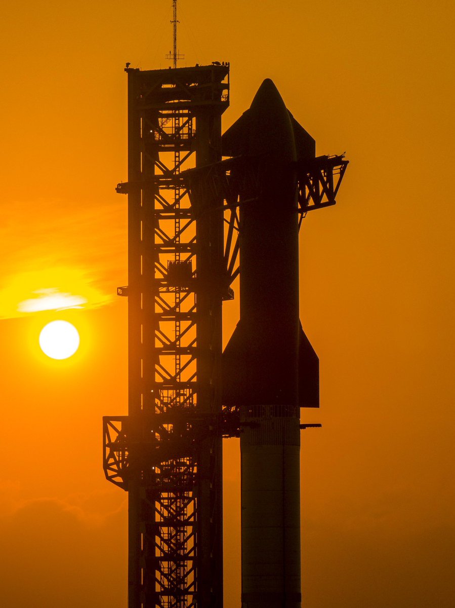 DogeDesigner tweet media