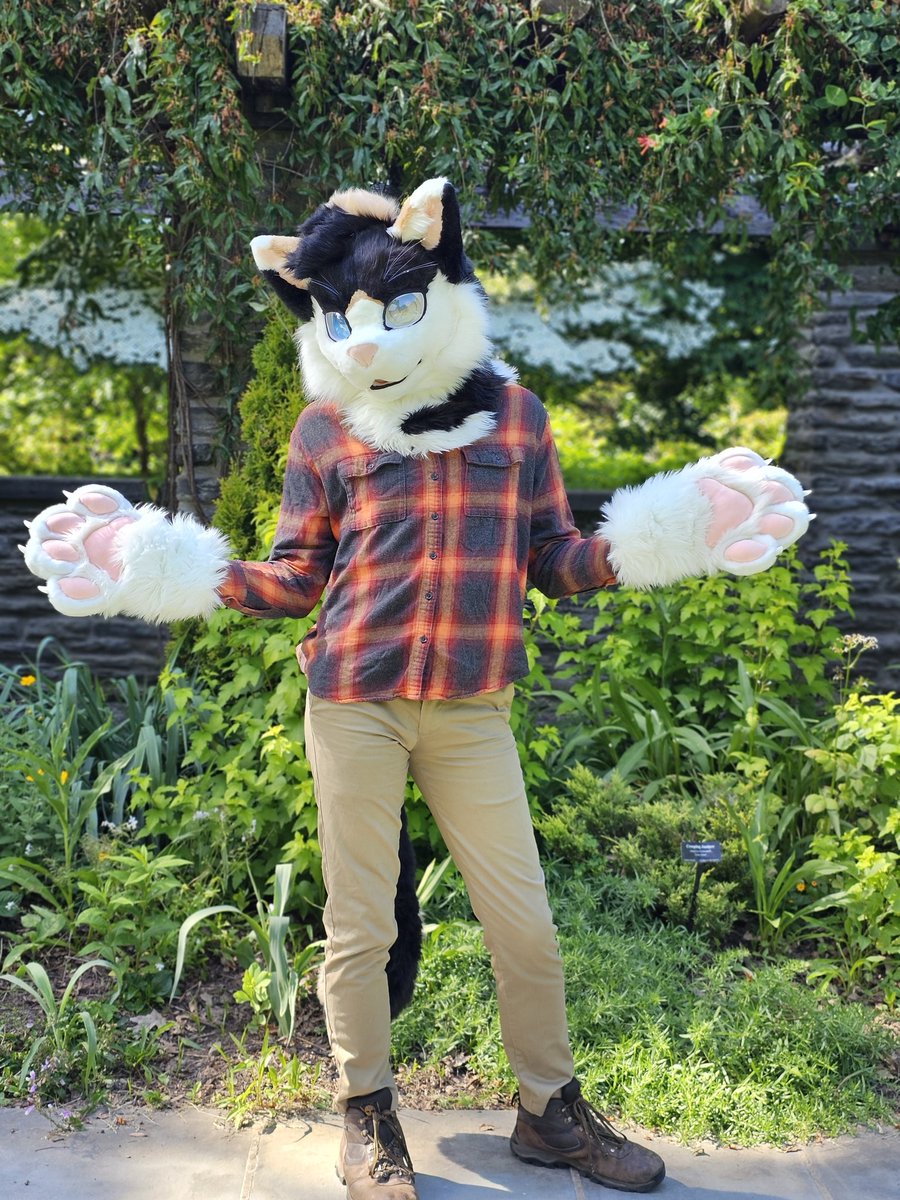 Basil's Garden tweet media