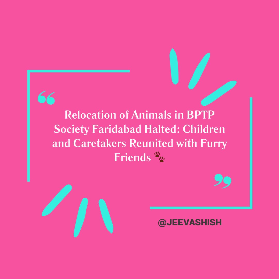jeev_ashish's tweet photo. Fantastic news from BPTP Society Faridabad! The planned relocation of our beloved society animals has been halted.  Together, we'll continue to provide them with the love and care they deserve. Let's celebrate this victory for compassion and unity!  #AnimalLove #JeevAshish https://t.co/gygygczXRl