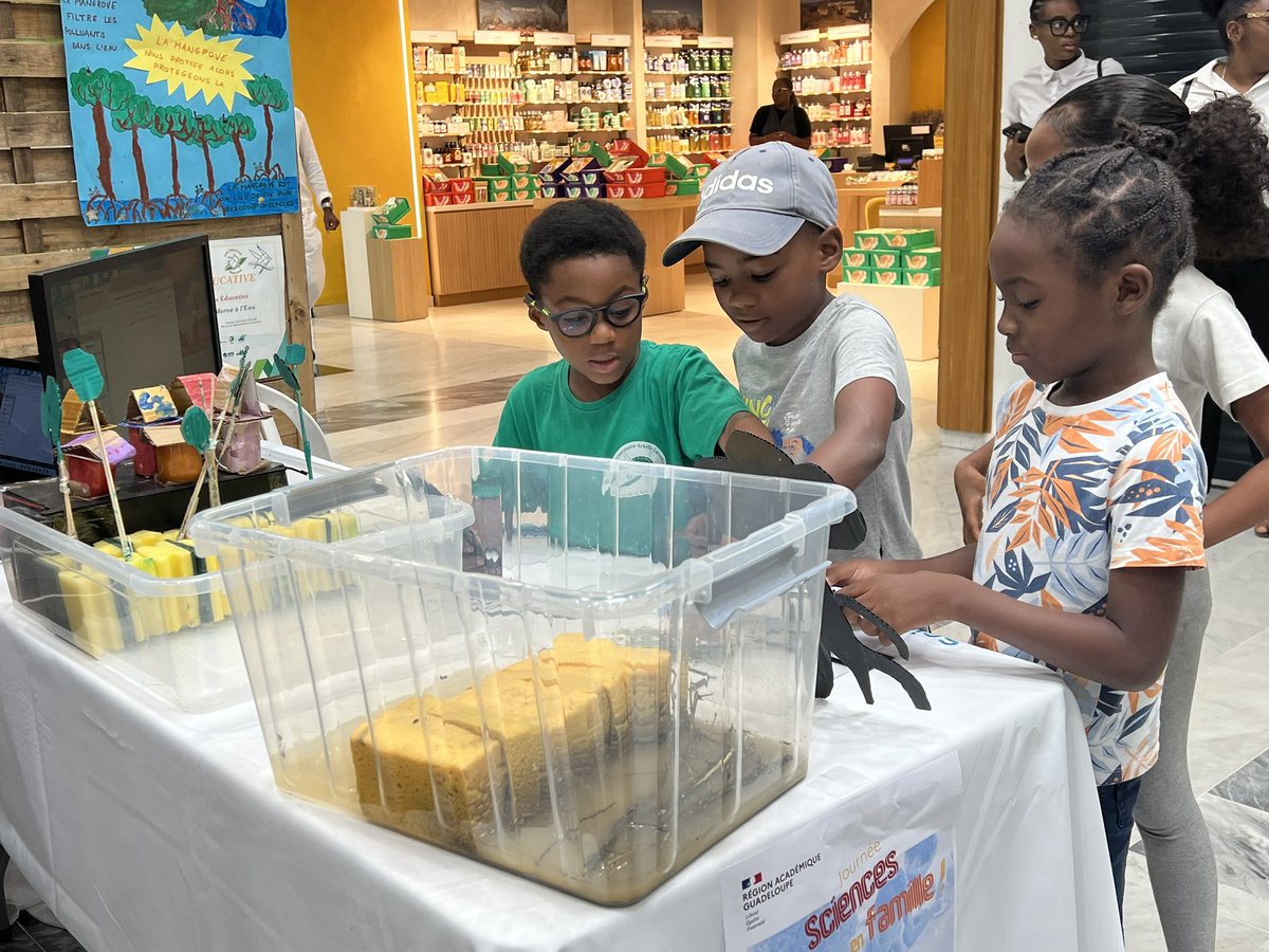 La Journée #SciencesEnFamille fut une belle réussite👏
Enfants et parents ont participé nombreux aux activités scientifiques proposées par une centaine d’élèves et enseignants dans les allées du CC Destreland !
🎯Objectif atteint : vulgariser les sciences auprès du grand public !