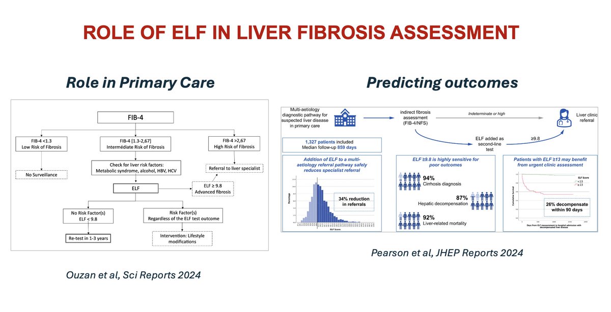 Can we assess liver fibrosis and predict outcomes just using blood-based tests?

These two papers show that FIB-4 plus ELF accurately assess fibrosis and predict decompensation and mortality.

t.ly/T9-p8 t.ly/5nlgu #livertwitter