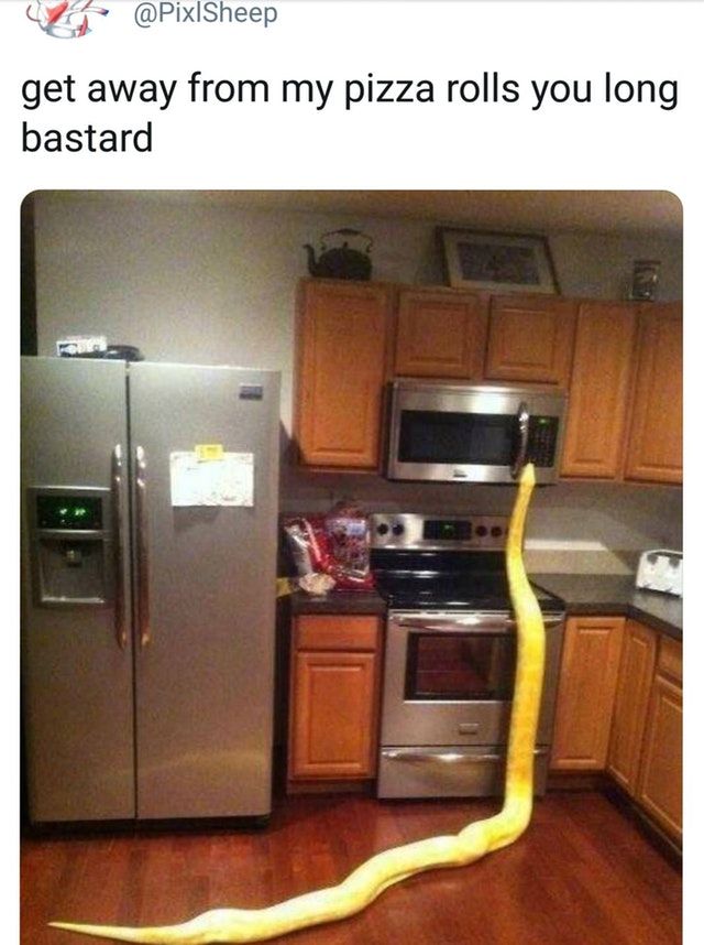 messedupfoods's tweet image. 