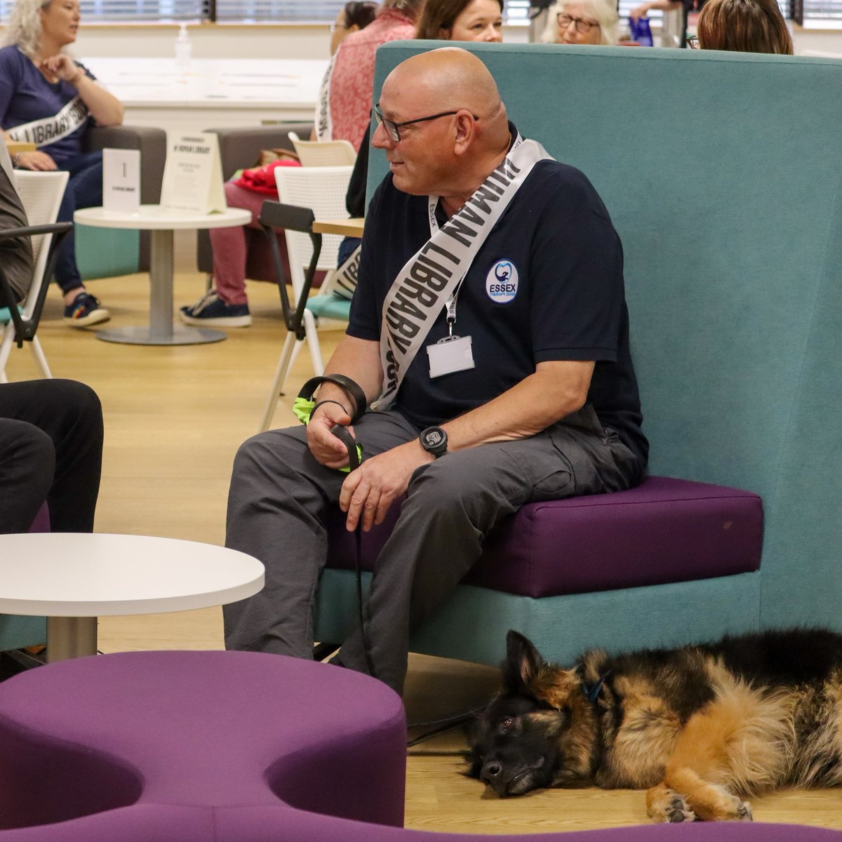 Essex Cultural Diversity Project tweet media