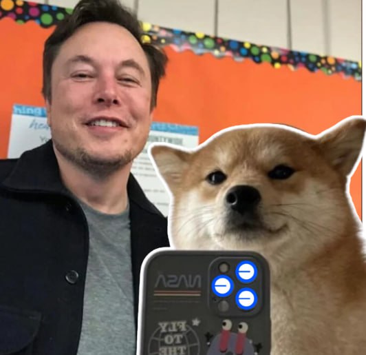 basedselfiedog's tweet photo. @WhaleEverything #BSELFIE for sure!! We have elon here ♥ 

https://t.co/rwZ6SKY5J7 https://t.co/mnuln67JUr