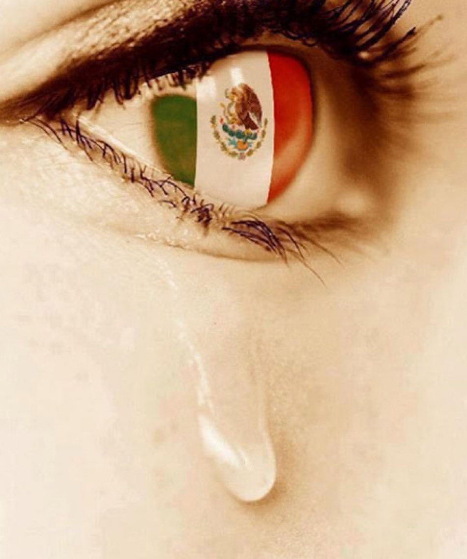 EuropeMex's tweet photo. #Mexique #Mexico
#Elecciones2024México 
#CronicaFracasoAnunciado 
🔥Histórico 👇
#CronicaFraudeDeMorenaAnunciado  

🇲🇽El @INEMexico @GuadalupeTadei 👉cómplice del 
#MegaFraudeElectoral❗️

🔴Es una gran Farsa👉No se acaban de contar los votos…y ya salen a decir que ganaron todo!

🔥El Mega Fraude …lo tenían preparado👉por eso decía la minable Ilegítima @Claudiashein ..que la #Elecciones2024México … 
« era solo un trámite »❗️❗️❗️

🔴Como el #INE está en el gobierno …@lopezobrador_ puso a la persona que quiso…en tiempos pasados hasta berrinche hacía y mandaba al diablo a las instituciones…

🔥Hoy…hay videos que circulan que Morena compró votos, quemó casillas, amenazó con los programas sociales, Acarreados…migrantes para 🗳️👉pagó falsas encuestas y medios..en México y en el extranjero…tuvo su Esquirol de morena @AlvarezMaynez de @MovCiudadanoMX para Dividir la oposición…hizo hasta lo imposible en las mañaneras Todos los días..ilegalmente 👉para que su corcholata ganara👉el fin de la hipocresía…
🔥Pero que quede bien claro👉en AMLO👉👉todo este fraude que hizo …fue con sus aliados Traidores a la Patria ..que venden su dignidad, su 🗳️ la #Democracia por unos Miserables pesos…
y NO con los verdaderos mexicanos Patriotas🇲🇽❗️

🕊️#Mexicanos NO acepten esta burla ..NO es resultado de la democracia 👉es #FraudeElectoral ❗️

🔴NO, NO, NO..NO acepten esos resultados…Rendirse es SUMISIÓN ❗️

🔴De lo contrario ya nadie vendrá a ayudarlos..y Dan Vergüenza un 🇲🇽 de Cobardes❗️
🔥Les espera el Horror❗️
#NODiganQueNoSabian 

🇲🇽NO LO ACEPTEN @XochitlGalvez @STaboadaMx …
🗳️VOTO POR VOTO, CASILLA POR CASILLA❗️

🕊️LA LIBERTAD NO SE IMPLORA SE CONQUISTA ❗️❗️❗️

🇪🇺🇲🇽🇫🇷@MorganeBravo Think Tank @EuropeMex .
#PorAmorAMéxico 

#Diplomatie #BFMTV #LCI #Cnews 
#CNN #CNNEE #Latinus
@UEenMexico #France #Paris #Madrid #USA #Canada #Montreal #Quebec