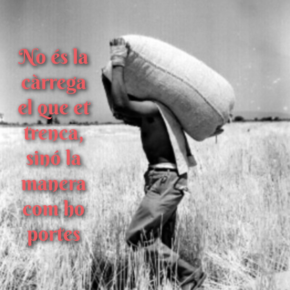 denriquezcid's tweet photo. #gestalt #terapia #terapiagestalt https://t.co/YvayWUu9BN