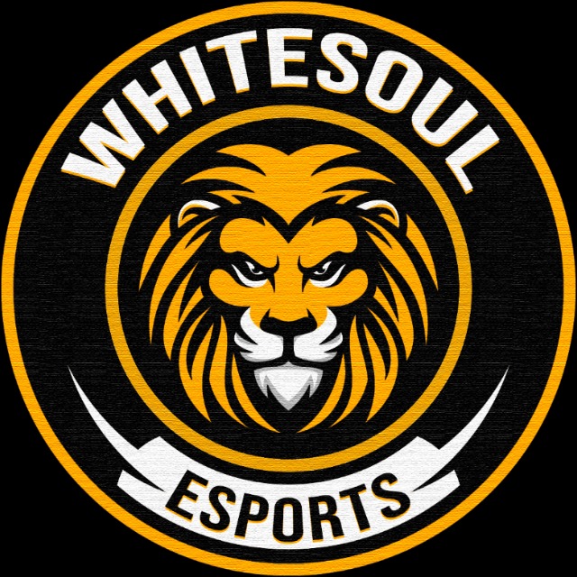 WhiteSoul eSports 🦁 tweet media