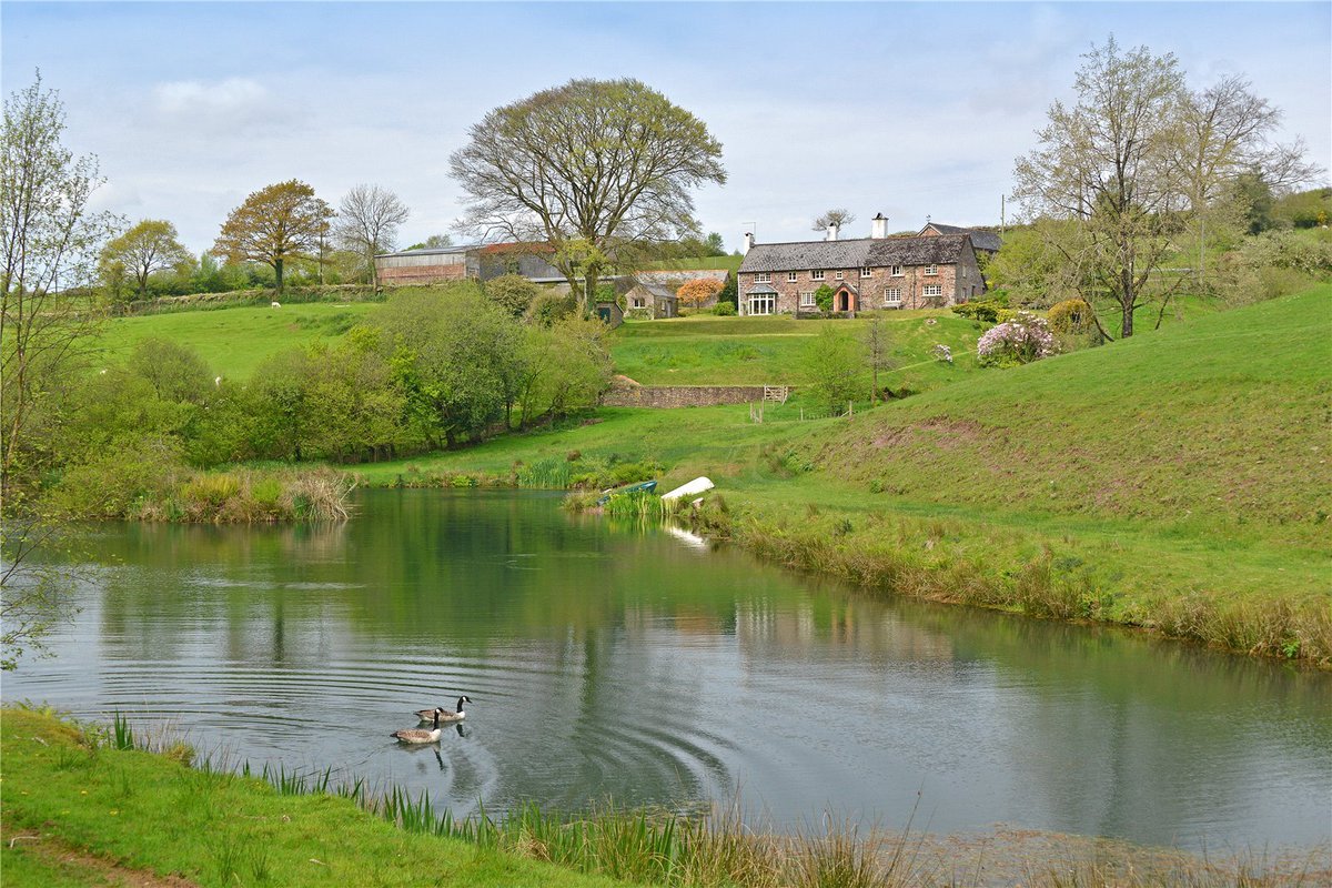 JS_Taunton's tweet photo. Ringcombe Farm is a wonderfully situated small #sportingestate with 66 acres of #pasture, 60 acres of #woodland, a spring-fed #lake, and a range of #outbuildings and #stabling, new to the market with a guide price of £2,500,000.
https://t.co/kjBm6vjXkk
#westanstey #devon https://t.co/vADrdJAkml