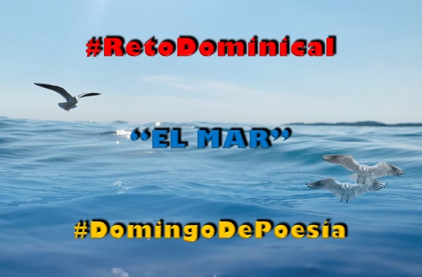 PoetiRETO's tweet photo. ¡Hermoso, @angie79158410! ¡Mil gracias por tu aporte!
___
A la vista del mar
suelto suspiros
mis letras a bailar
en suaves giros,
en libertad
el viento me susurra
felicidad.
(ALDA)
#RetoDominical #03junio
#DomingoDePoesía #Seguidilla #Compuesta
https://t.co/S0ysdNWIZY https://t.co/EKT4N9HQ6v