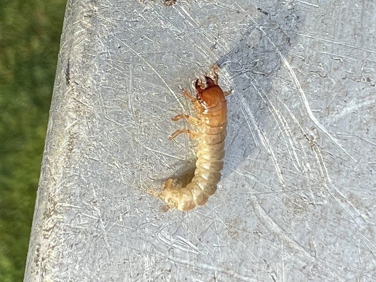 Michael Sullivan tweet media