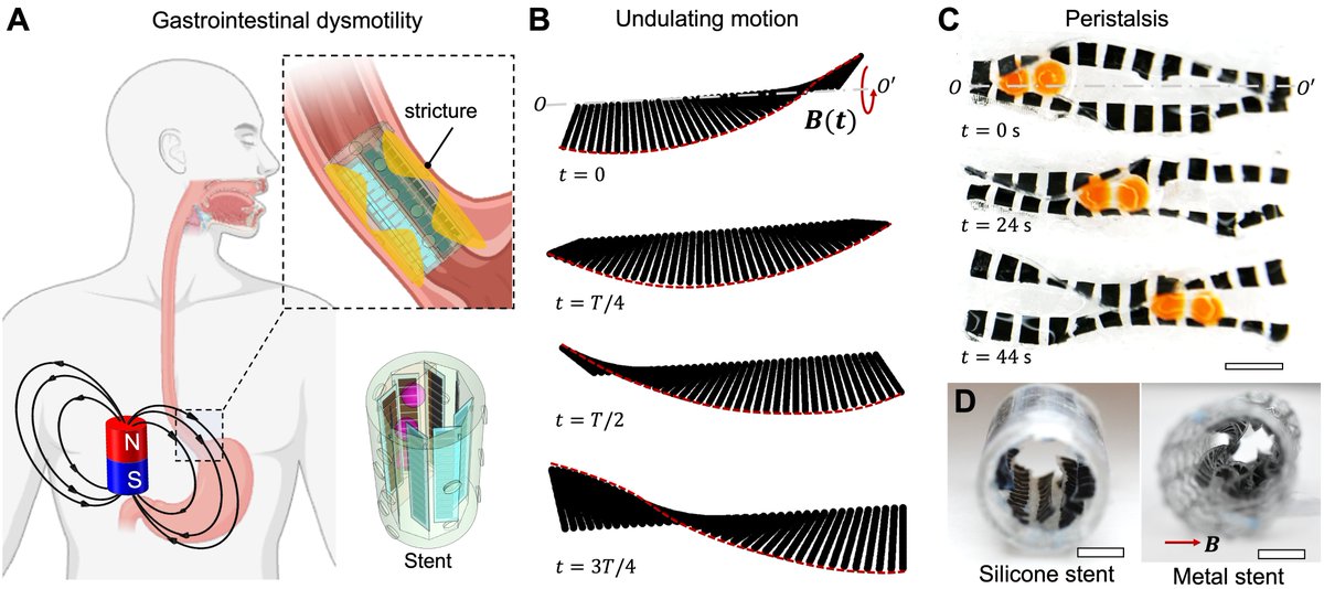 Xiaoguang Dong tweet media