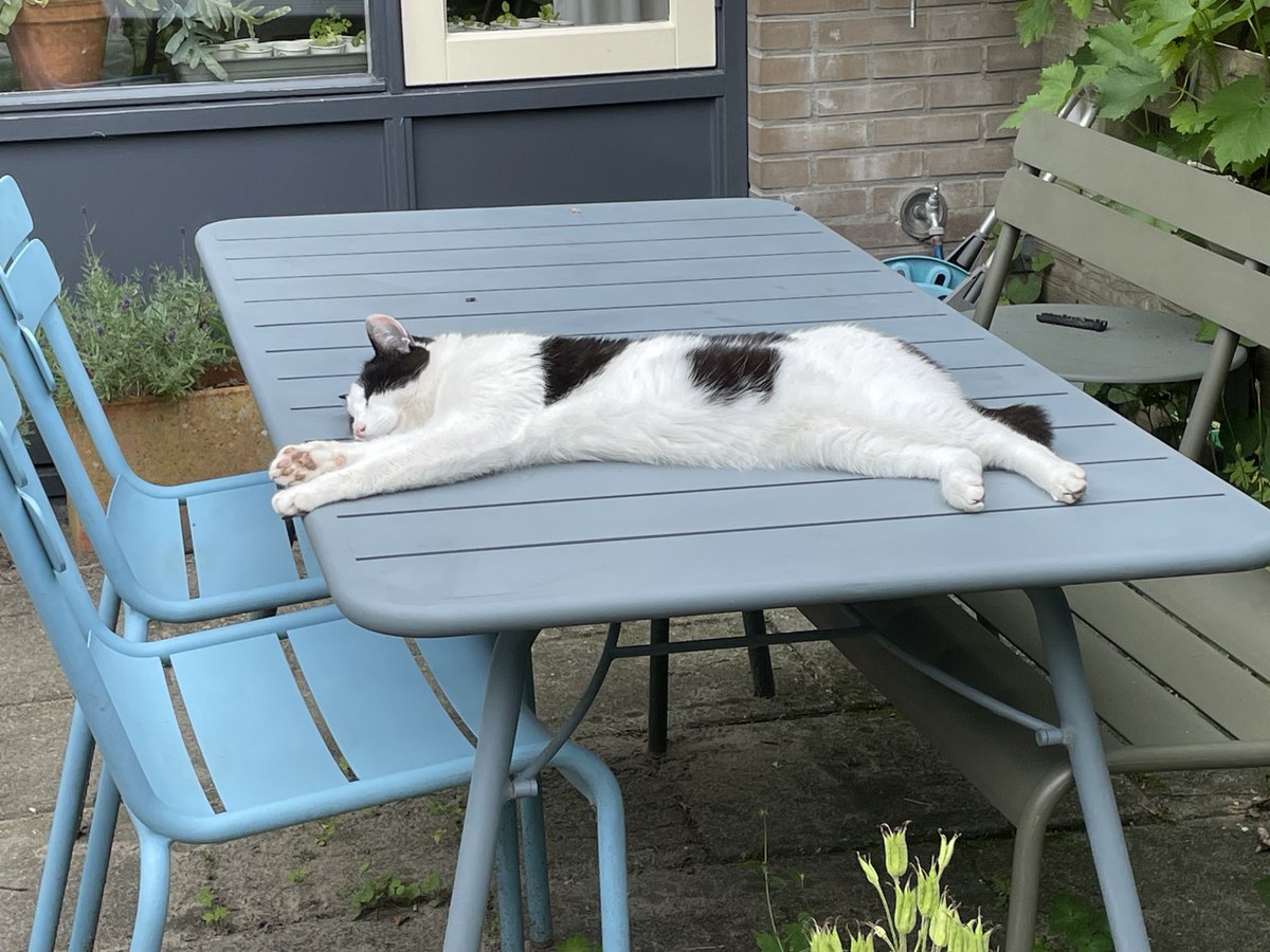 jeroen_obdam's tweet photo. In de #kantoortuin laat de #collega het allemaal nog even op zich #inwerken … https://t.co/poQREvkSHZ