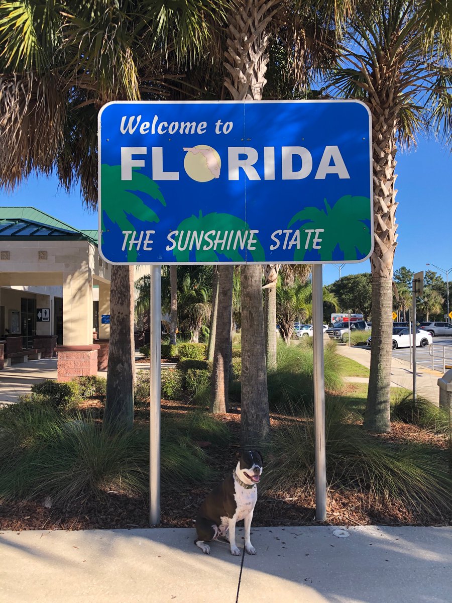 Druokaye's tweet photo. @1Nicdar #FloridaFree
#FAFO https://t.co/KehSZT32RK