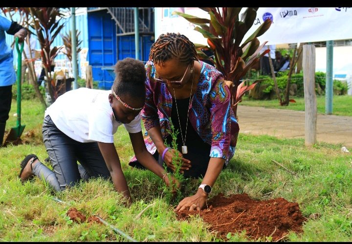 KILELE Health (@kilelehealthke) on Twitter photo During the Cancer Survivors Festival held on 31/5, trees were planted to honor survivors and promote sustainability. Let's continue to nurture our planet ๐ and support each other
<a href="/AmericanCancer/">American Cancer Society</a>
<a href="/FINDdx/">FIND</a>
<a href="/Merck/">Merck</a>
<a href="/CRUK_Policy/">Cancer Research UK Policy</a>
#CancerSurvivorship #KILELEHealth #ACHA #DontDropTheBall During the Cancer Survivors Festival held on 31/5, trees were planted to honor survivors and promote sustainability. Let's continue to nurture our planet ๐ and support each other
<a href="/AmericanCancer/">American Cancer Society</a>
<a href="/FINDdx/">FIND</a>
<a href="/Merck/">Merck</a>
<a href="/CRUK_Policy/">Cancer Research UK Policy</a>
#CancerSurvivorship #KILELEHealth #ACHA #DontDropTheBall
