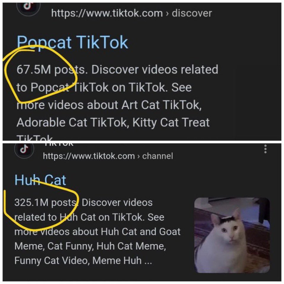 @TMLevel11 @renzofks @HUHCATS0L Huh?

Aint no more viral cat than $huhcat and thats a fact 👀