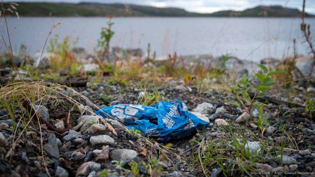 Even remote #Arctic regions carry traces of human-induced pollution – from soot to #plastics, #methane to #pesticides. 

Several of our Working Groups monitor &amp; address pollutants. Their findings have raised awareness &amp; contributed to national actions &amp; international conventions.