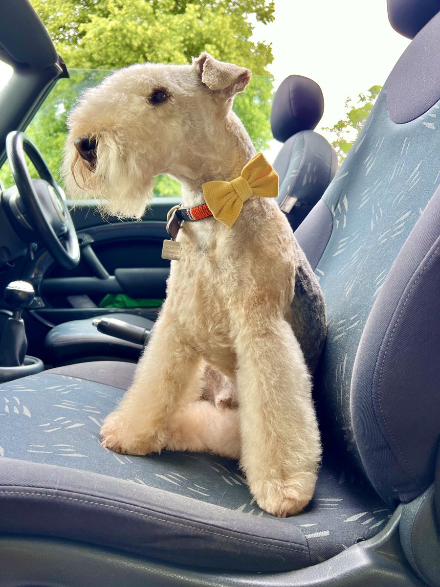 Bertie Lakeland tweet media