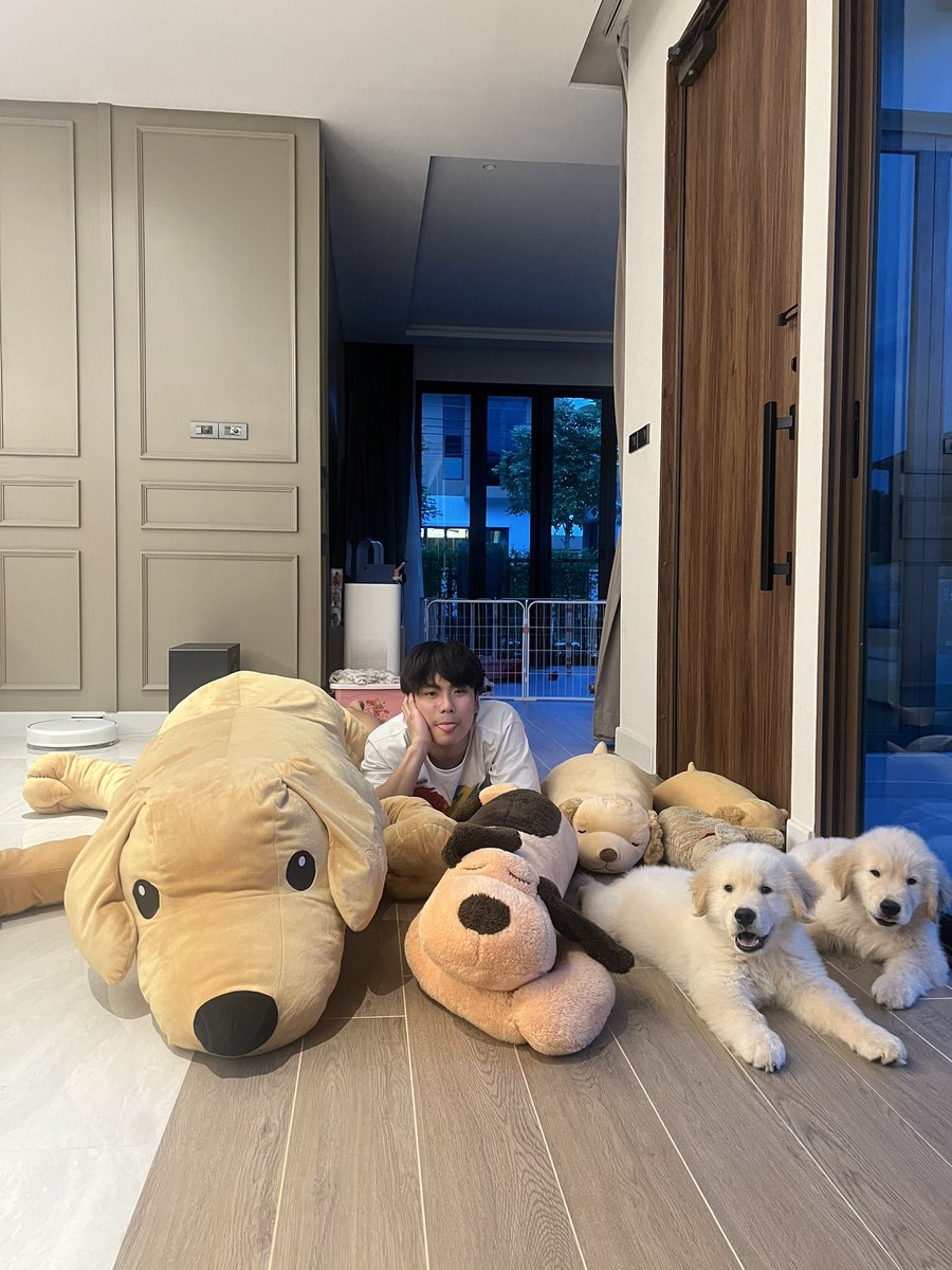 ohmpawatt's tweet photo. Family🐶 https://t.co/gPmzJPeiur