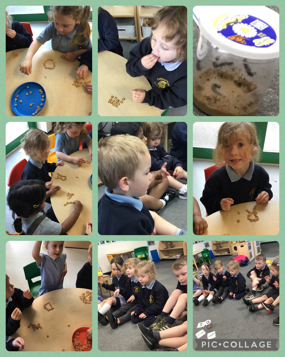 Super singing this morning and we even had some real caterpillars joining in. Some great letter shapes made at snack time with the Cheerios. 
@ComberbachMrsW 
@ComberbachMrsY