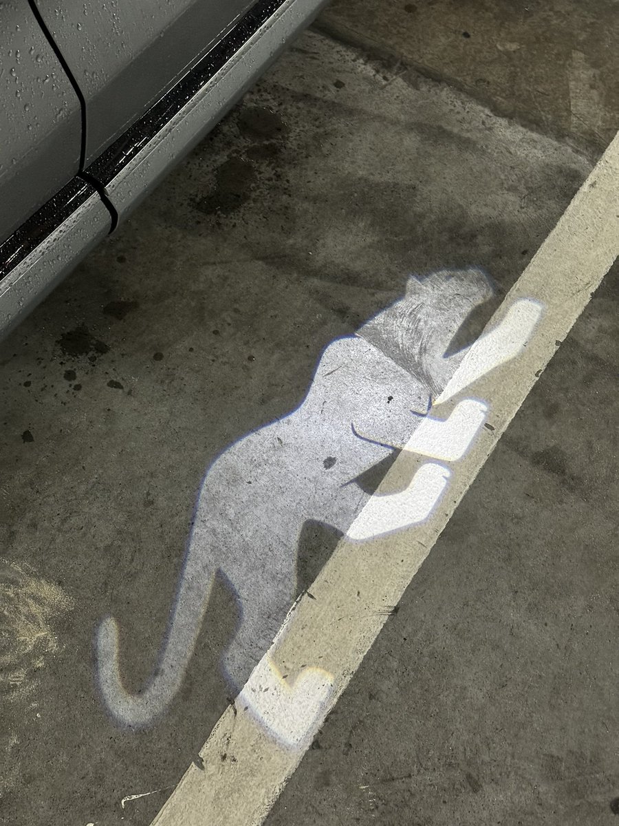 mtura712's tweet photo. The ST-Line emblem is seen on fenders, with @FordSouthAfrica  Puma Wild Cat animation that gets displayed on the ground through a projector under the folding mirrors,when you unlock the car.  #FordPumaSTLine Vignale!! https://t.co/28e0mykjUO
