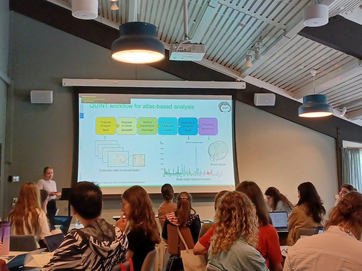 Maja Puchades tweet media