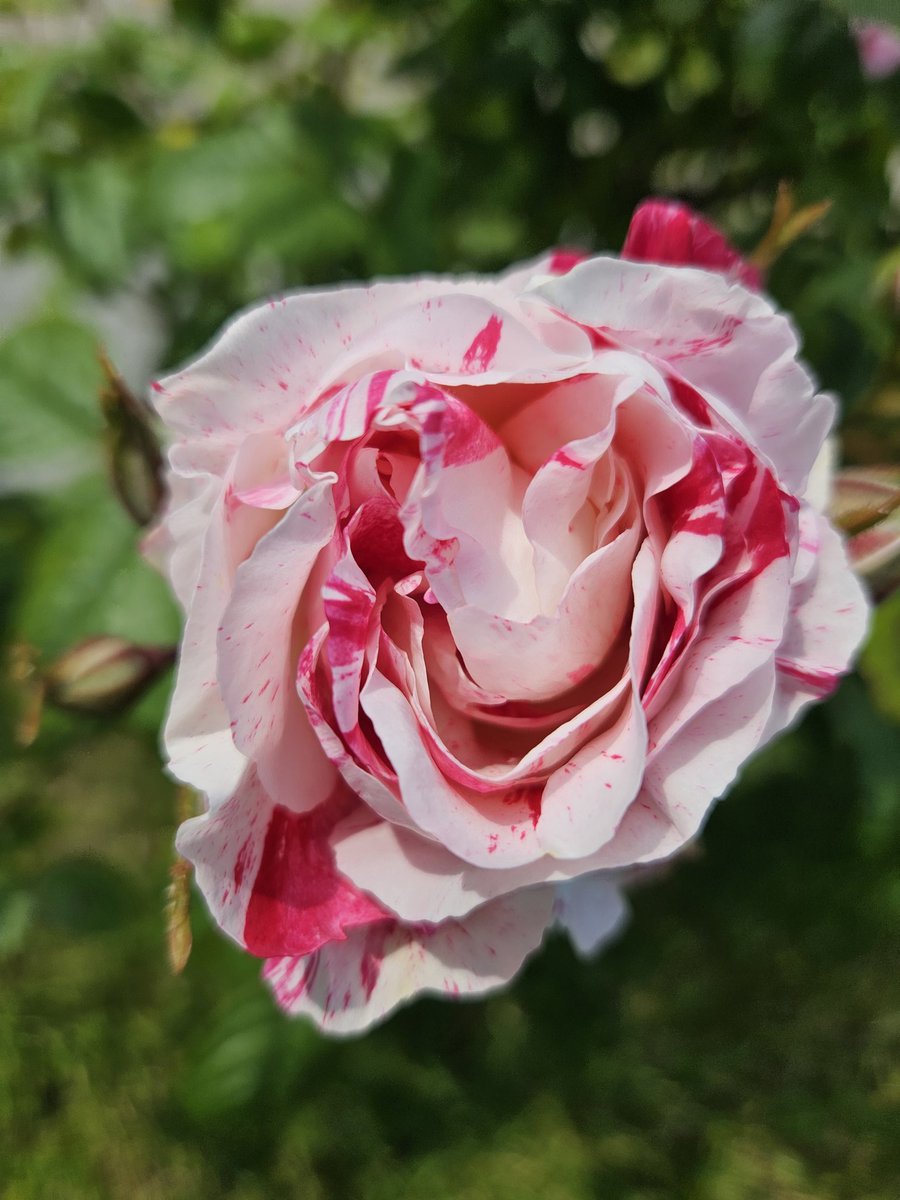 Some summertime colours 👌